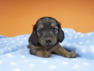 2016-04-26 01.20.27 2016-04-26 01.20.27