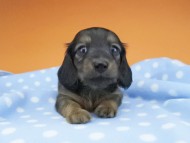 2016-04-26 01.21.06 2016-04-26 01.21.06