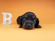 2016-04-26 01.32.37 2016-04-26 01.32.37