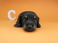 2016-04-26 01.35.47 2016-04-26 01.35.47