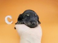 2016-04-26 01.36.37 2016-04-26 01.36.37