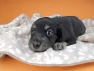 2016-04-26 01.54.23 2016-04-26 01.54.23