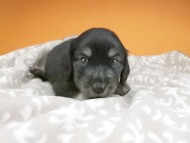 2016-04-26 01.54.54 2016-04-26 01.54.54