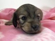 2016-11-01 08.11.00 2016-11-01 08.11.00