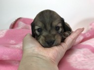 2016-11-01 08.12.28 2016-11-01 08.12.28