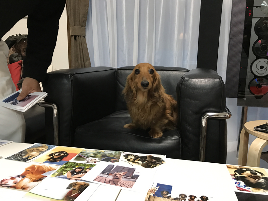 2017-03-03 17.49.57 2017-03-03 17.49.57