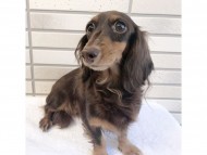 2017-11-12 12.42.59 2017-11-12 12.42.59