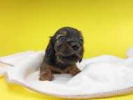 2019-06-20 10.05.54 2019-06-20 10.05.54