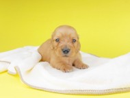 2019-06-20 10.10.29 2019-06-20 10.10.29