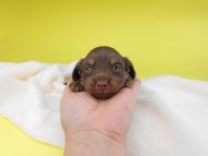 2019-06-20 11.25.51 2019-06-20 11.25.51