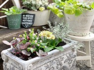 20191026_191027_0004