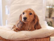 2021-03-16 23.10.28 2021-03-16 23.10.28