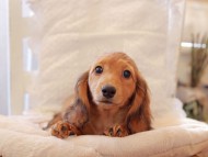 2021-03-16 23.10.36 2021-03-16 23.10.36