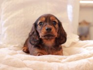 2021-03-16 23.34.49-2 2021-03-16 23.34.49-2