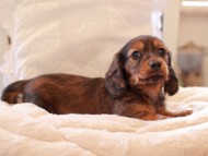 2021-03-16 23.35.05-1 2021-03-16 23.35.05-1