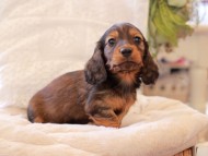 2021-03-16 23.37.57-1