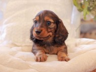 2021-03-16 23.38.25 2021-03-16 23.38.25