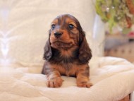 2021-03-16 23.38.26 2021-03-16 23.38.26