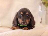 2021-03-17 02.19.48-1 2021-03-17 02.19.48-1