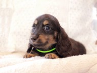 2021-03-17 02.20.01-1 2021-03-17 02.20.01-1