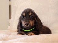 2021-03-17 02.20.07 2021-03-17 02.20.07