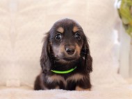 2021-03-17 02.22.08 2021-03-17 02.22.08