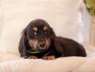 2021-03-17 02.24.00 2021-03-17 02.24.00