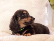 2021-03-17 02.24.02 2021-03-17 02.24.02