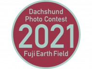 フジアース産出ダックスフンド・フォトコンテスト フジアース産出ダックスフンド・フォトコンテスト