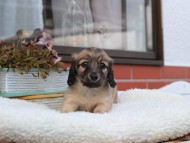 2024-10-30 03.19.59-2