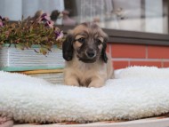 2024-10-30 03.20.06-1 2024-10-30 03.20.06-1