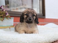 2024-10-30 03.20.35-2