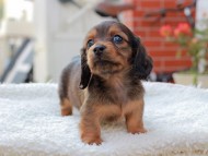 2024-11-12 02.12.22-3