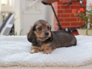 2024-11-12 02.14.58-2