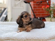 2024-11-12 02.14.59-1