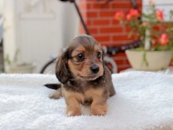 2024-11-12 02.15.49-1