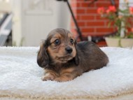 2024-11-12 02.16.35-1