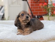 2024-11-12 02.16.35-2