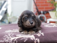 2024-11-12 02.25.38-2