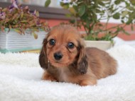 2024-11-12 02.31.26-1