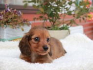 2024-11-12 02.31.57-1