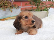 2024-11-12 02.33.19-2