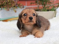 2024-11-12 02.33.20-2