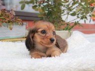 2024-11-12 02.34.23-2