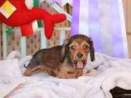 2024-11-23 00.13.48-2