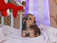 2024-11-23 00.17.48-1