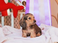 2024-11-23 00.17.51-2