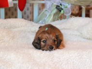 2024-11-23 00.20.35-1