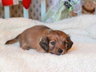 2024-11-23 00.20.48-2