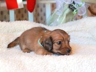 2024-11-23 00.20.50-2